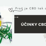 ucinky CBD a konopi