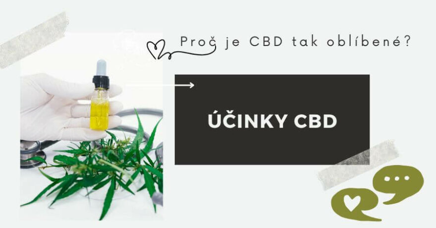 ucinky CBD a konopi